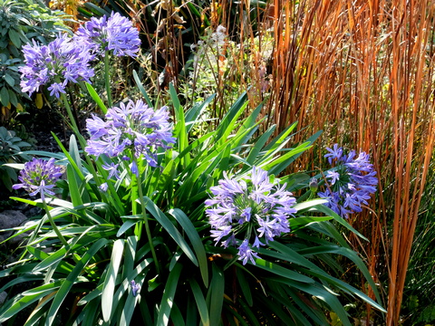 Gartenarbeiten nach Monaten