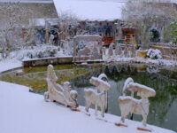 Weihnachtskrippenausstellung