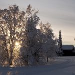 Winter in Lappland