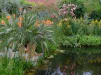 Unser Garten in Wels mit Kontaktdaten