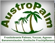 AustroPalm