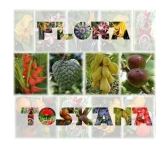 logo-flora-toskana